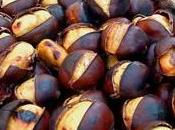 Chestnuts caldarrostaio: "must have" autumn