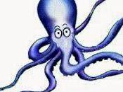 saggezza polipi.