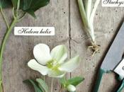 winter wedding bouquet