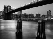 Photolux fotografia Lucca