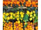 Vitamina combattere leucemia fermare retinoblastoma