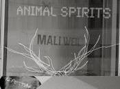 Sulle tracce Animal Spirits_ Mali Weil