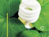 Ecolamp, Consorzio riciclo delle sorgenti luminose basso consumo
