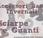 Accessori Base Invernali: Sciarpe