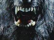 Wolfman (2010)