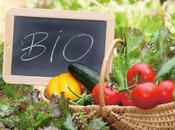 Nelle mense pubbliche siciliane solo prodotti biologici