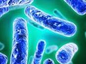 Oggi nella rubrica: orientarsi giugla probiotici