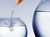 Cambiare: scelta coraggiosa solo renderci felici!