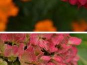 autunno anche bianco...e neve!