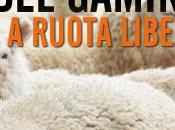 Rovina Gaming Ruota Libera