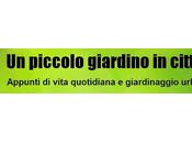Appunti vita quotidiana giardinaggio urbano parla Blossom zine