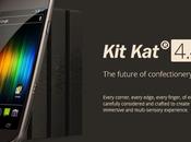 Aggiornamento Android Kitkat Galaxy Nexus grazie alla CyanogenMod