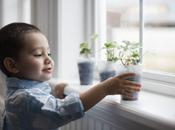 piante casa: possono essere pericolose tuoi bambini