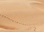Jaisalmer
