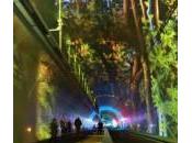 Francia, inaugurato primo tunnel ‘verde’ pedoni ciclisti (Video)