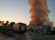 Incendio campo videointervista "poveri" responsabili. Live Sapienza scorso sabato dicembre