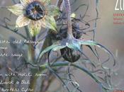 aboutgarden press