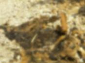 Come finire (seconda parte)