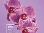 Pantone svela colore prossimo anno !!!!