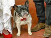 Magia Bianco versione spagnola