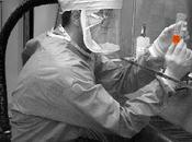 Aiuto: l’influenza sarà flop!