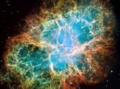 Lampi inattesi Granchio