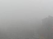 nebbia strada nella vita...................