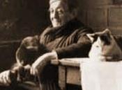 contrario Berlusconi