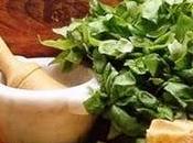 Pesto