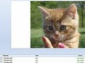 Recuperare file documenti cancellati errore Undelete
