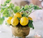 Lemon wedding