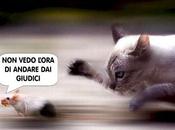 Berlusconi vede l'ora