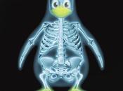Kernel Linux 2.6.38-rc1 patch delle linee codice