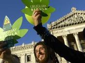 L'Uruguay sfida mondo: marijuana libera