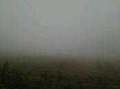 Nebbia.