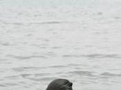 infiniti possibili [Forlì]