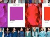 color directive