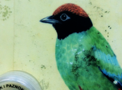 Prima l'uovo gallina?