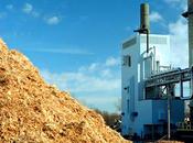 Gran Bretagna, biomasse posto carbone