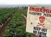 pesticidi possono danneggiare cervello bambini