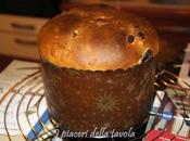 Panettone