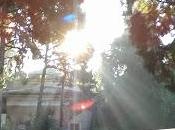 Oggi finalmente piove: cielo scurissimo lampioni...