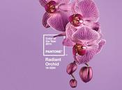 colore make 2014: Radiant Orchid