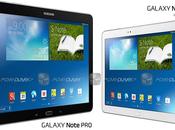 Queste caratteristiche tecniche Galaxy Note 12.2″?