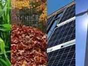 Rinnovabili: Destinazione Italia ripristini prezzi minimi impianti minori