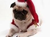 Buon Natale 2013