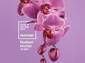 Radiant Orchid Pantone 18-3224: colore dell’anno anche cucina