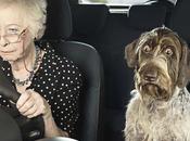 Come rinnovare patente guida: ecco tutte novità