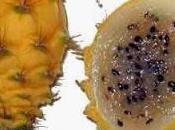 Pitaya gialla come perché funziona sull'intestino.