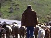 lava viene condannato